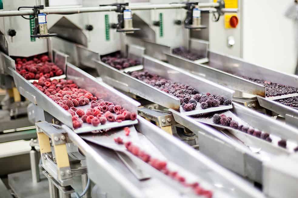 Coating Solutions for IQF (Individually Quick Frozen) Food Processing Equipment