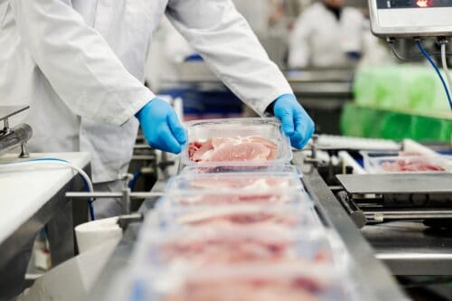 The Importance of FDA-Approved Coatings in Food Processing